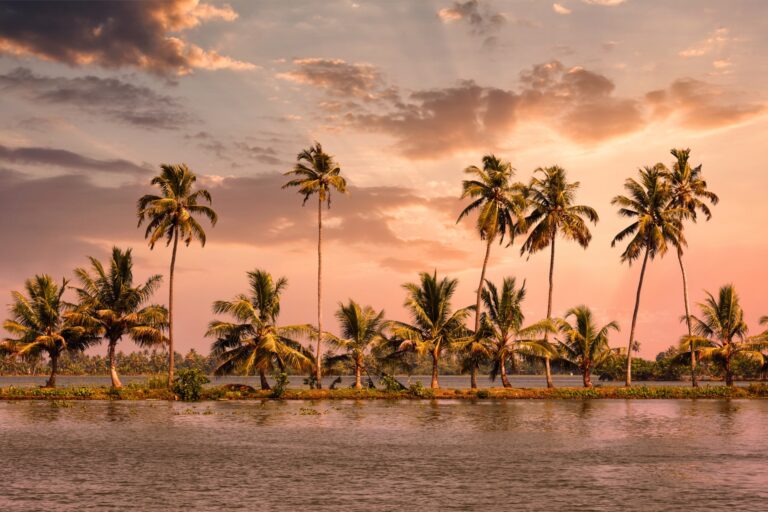 backwaters of kerala