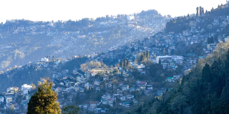 darjeeling-6314833_1920